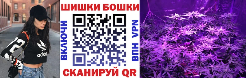 где купить наркоту  Сураж  Канабис сатива 